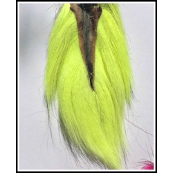 Yellow Bucktail